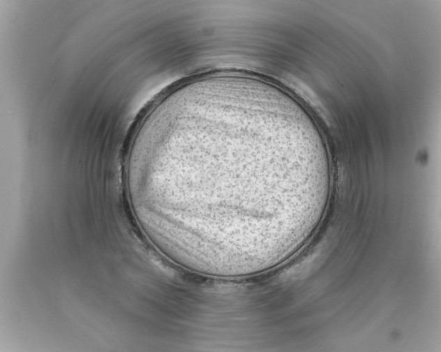 X0000089860782200707262127