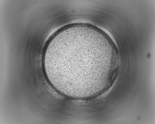 X0000089860783200707262127