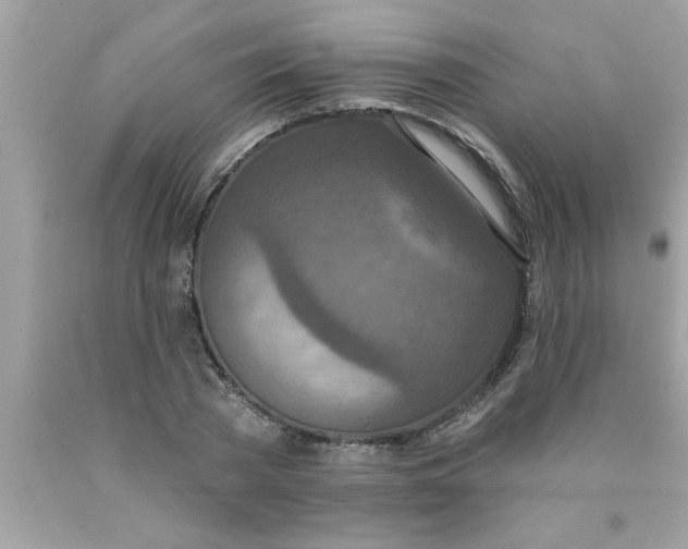 X0000089860785200707262127