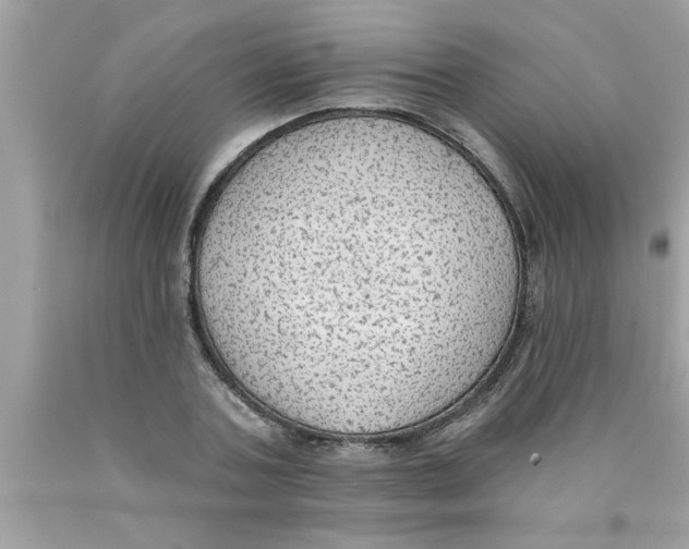 X0000089860787200707262127
