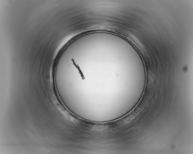 X0000089860788200707262127