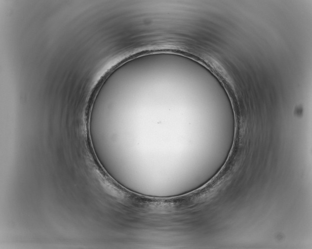 X0000089860789200707262127