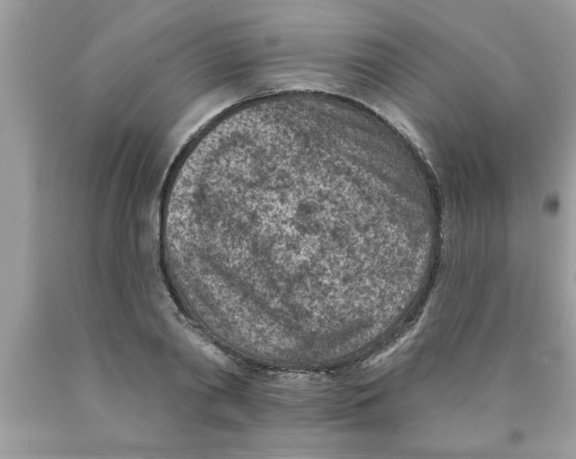 X0000089860790200707262127