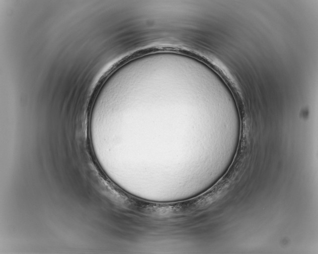 X0000089860791200707262127