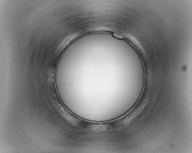 X0000089860793200707262127
