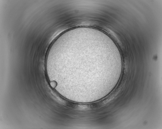 X0000089860794200707262127