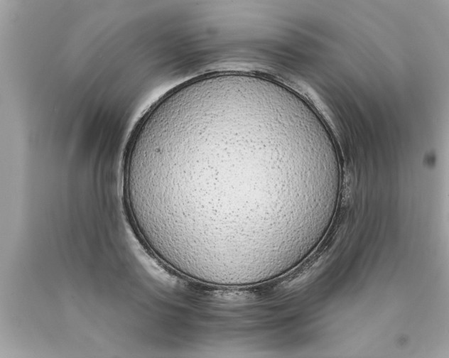 X0000089860795200707262127