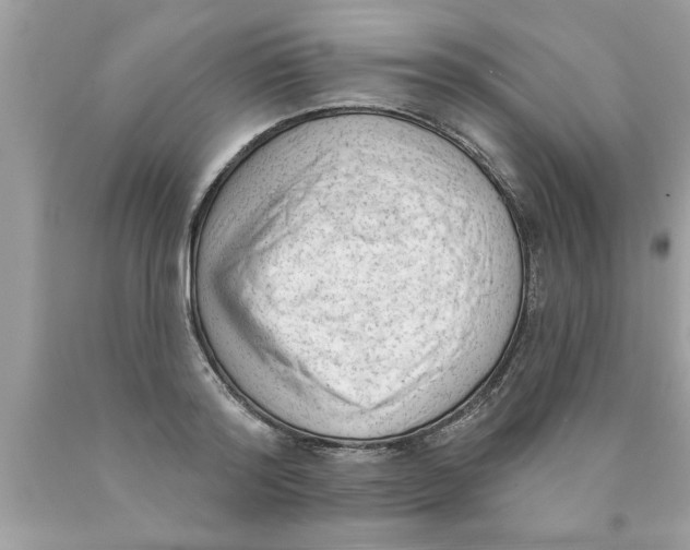 X0000089860796200707262127