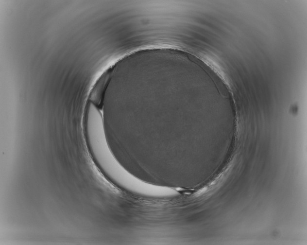 X0000089860797200707262127