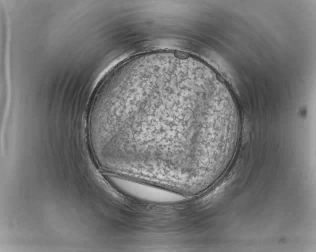 X0000089860798200707262127