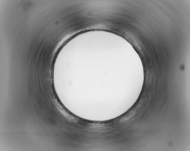X0000089860800200707262127