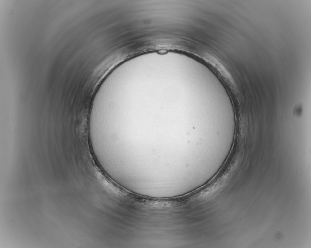X0000089860801200707262127