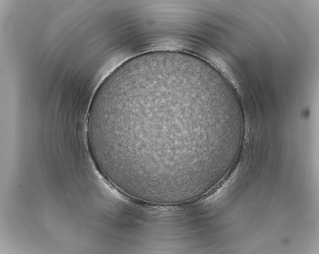 X0000089860802200707262127