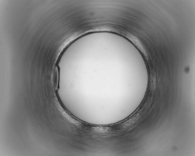 X0000089860805200707262127