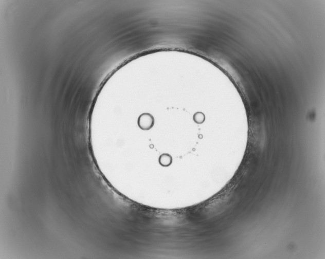 X0000089860807200707262127