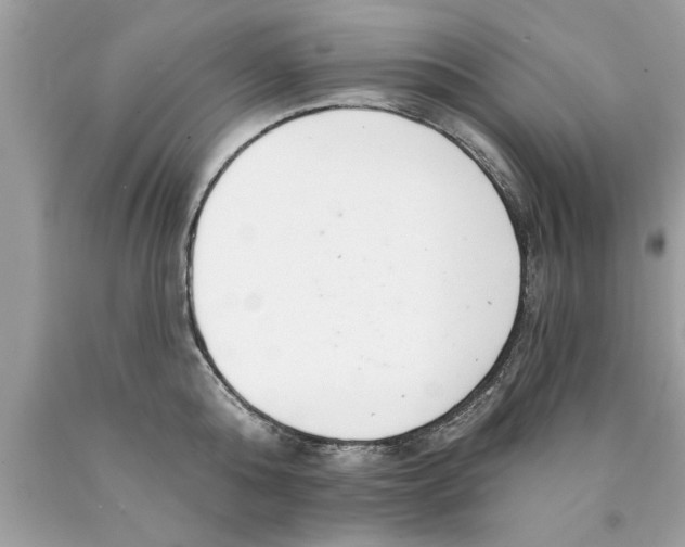 X0000089860808200707262127