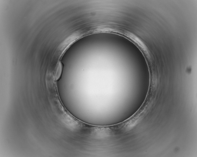 X0000089860809200707262127