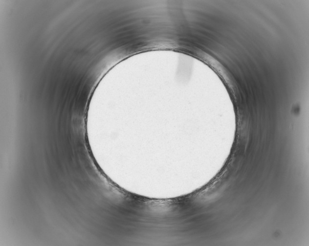 X0000089860810200707262127