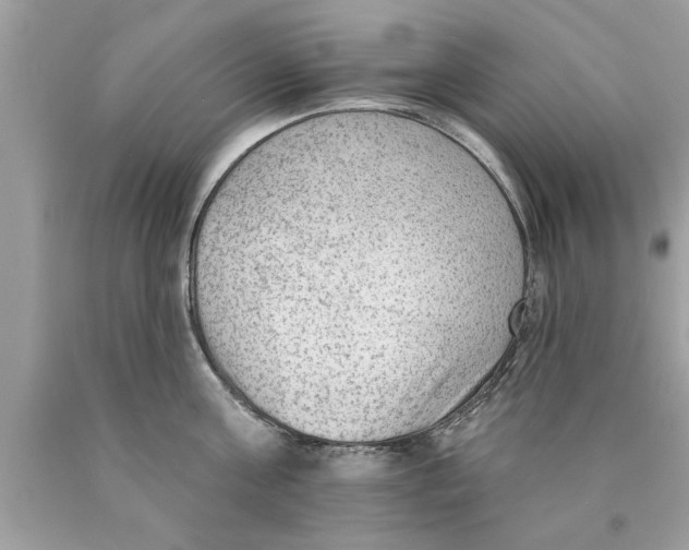 X0000089860811200707262127