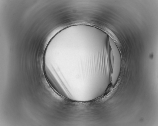 X0000089860812200707262127