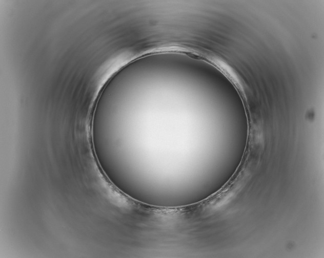 X0000089860813200707262127