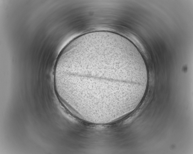 X0000089860814200707262127