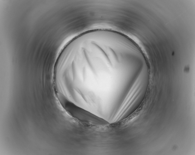 X0000089860815200707262126