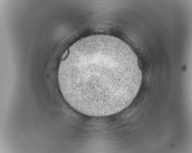 X0000089860817200707262126