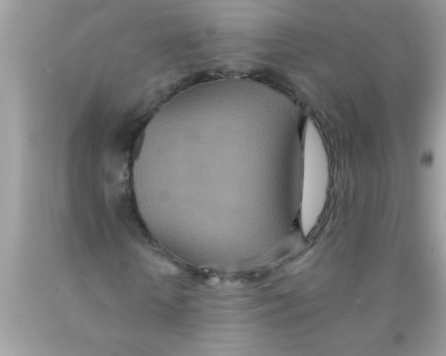 X0000089860818200707262126
