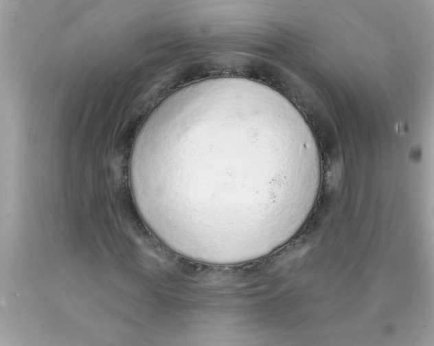 X0000089860819200707262126