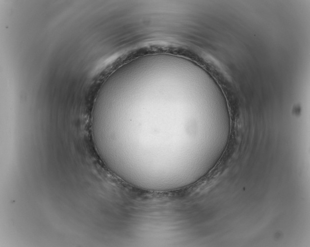 X0000089860822200707262126