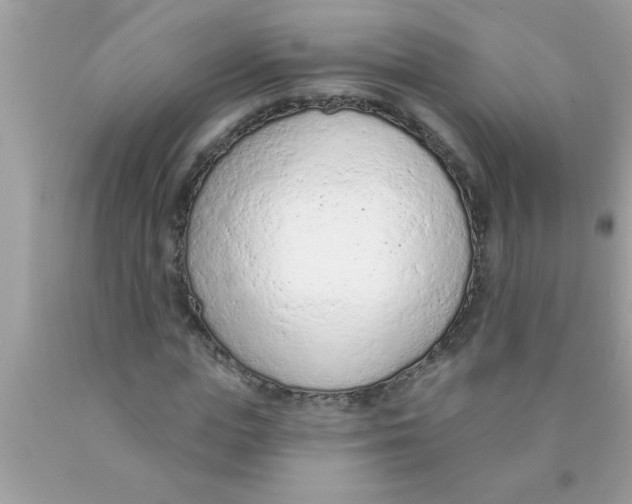 X0000089860823200707262126