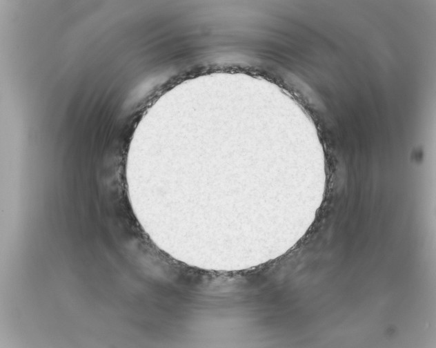 X0000089860824200707262126