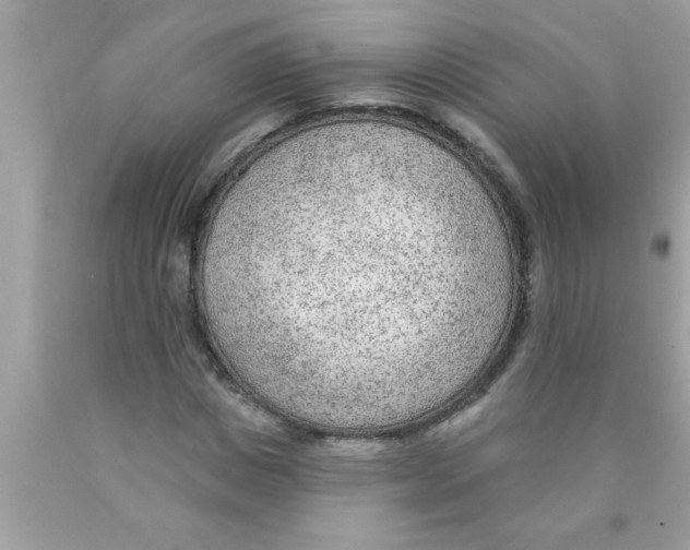 X0000089860825200707262126