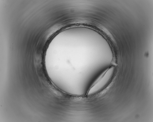 X0000089860826200707262126