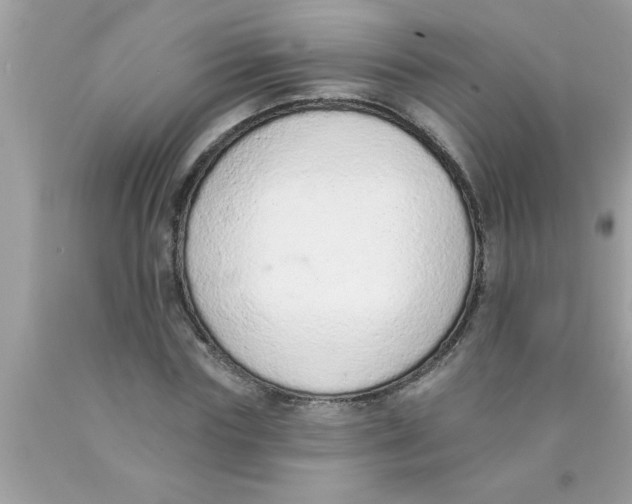 X0000089860827200707262126