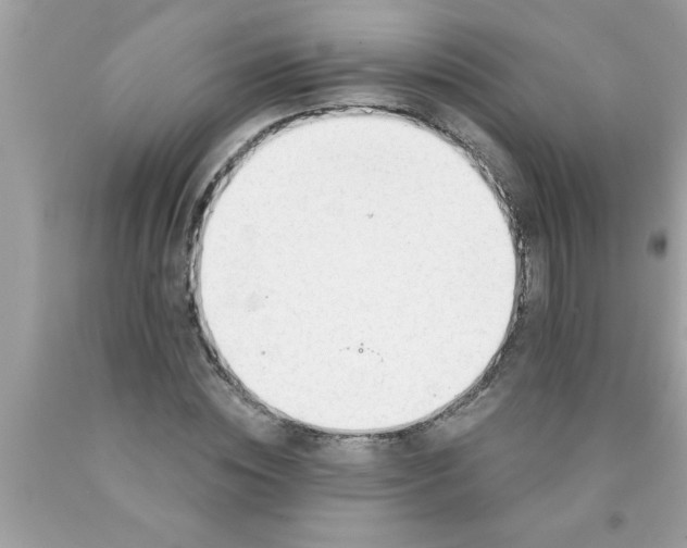 X0000089860828200707262126