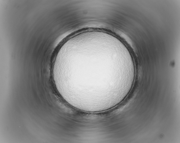 X0000089860829200707262126