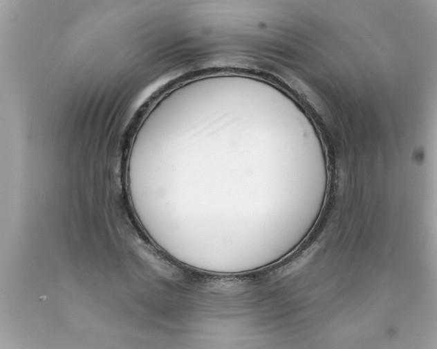 X0000089860830200707262126