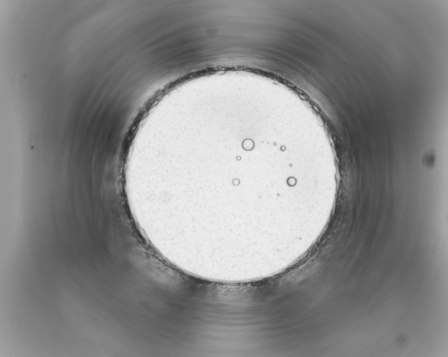 X0000089860832200707262126