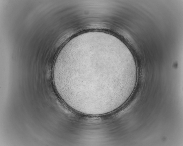 X0000089860833200707262126