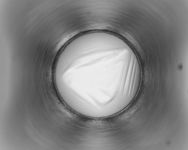 X0000089860834200707262126