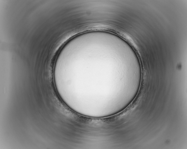 X0000089860835200707262126