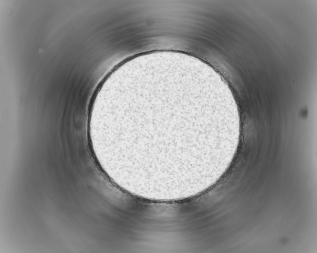 X0000089860836200707262126