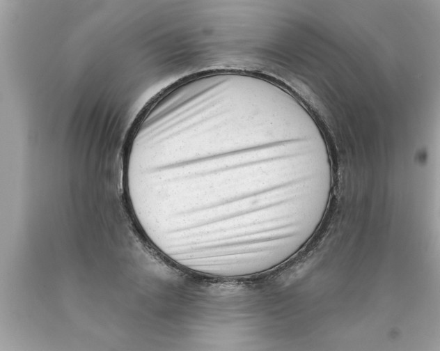 X0000089860838200707262126