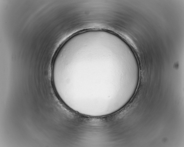 X0000089860839200707262126