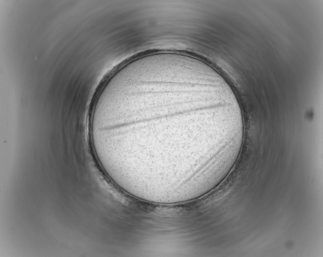 X0000089860840200707262126