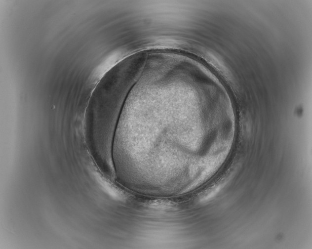 X0000089860842200707262126