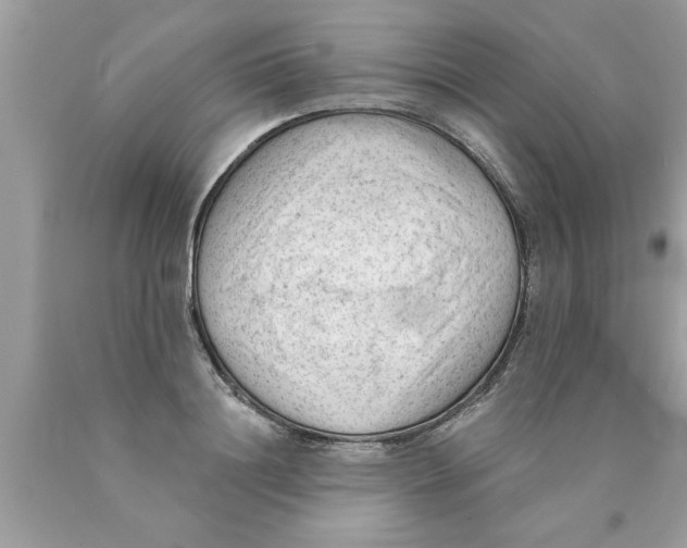 X0000089860844200707262126
