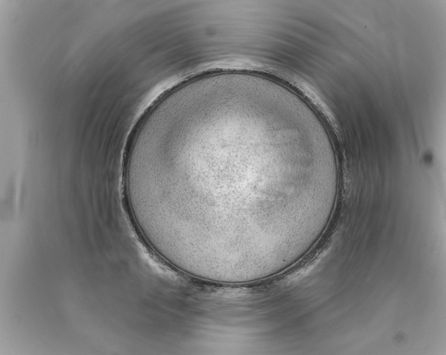 X0000089860845200707262126